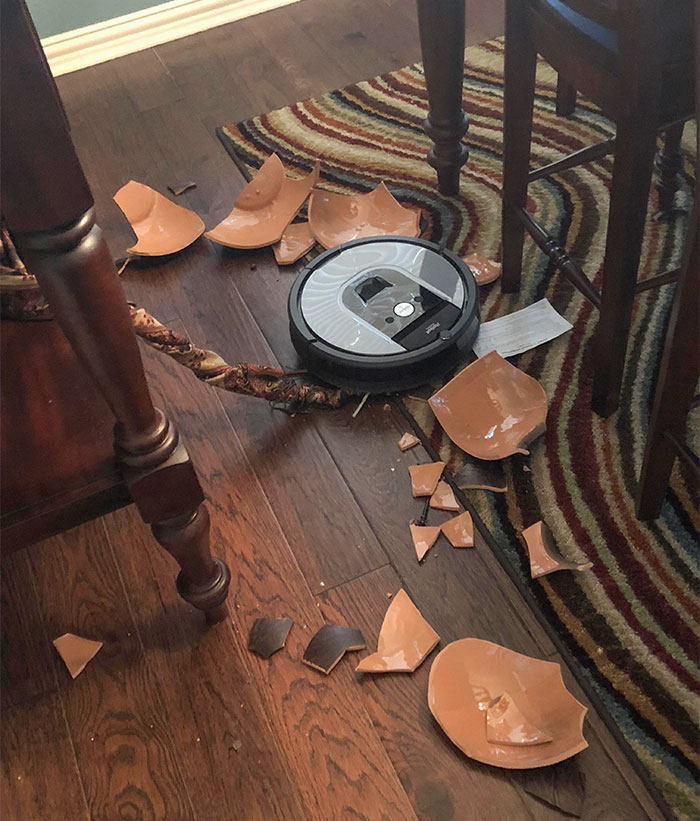 Another Bad Roomba. Came Home To This