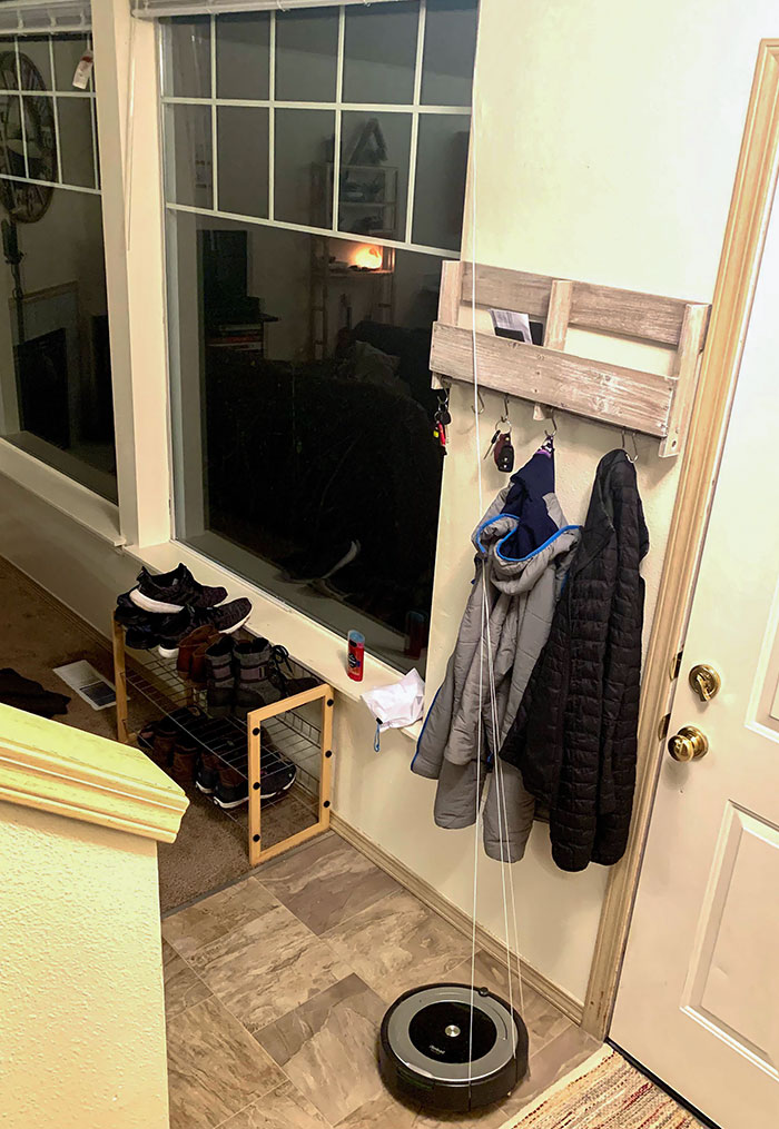 Came Home To This Derp Having Pulled Open The Blinds And Promptly Dying