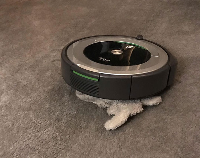 Today I Came Home To Find Joomba Mating With Or Killing One Of Murrow’s Toys