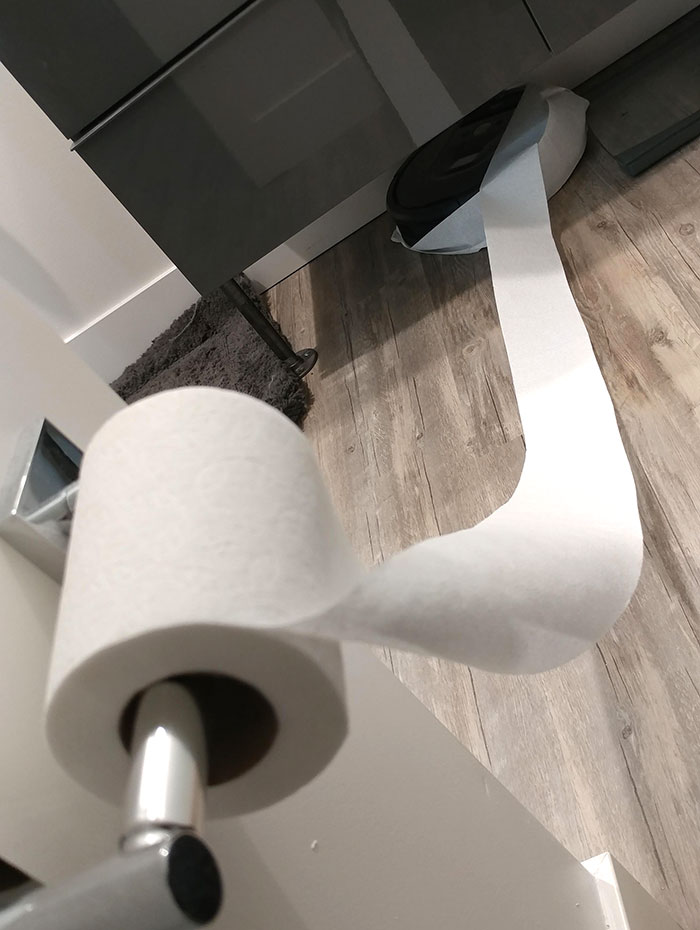 Apparently My Roomba Got A Little Chilly While I Was At Work