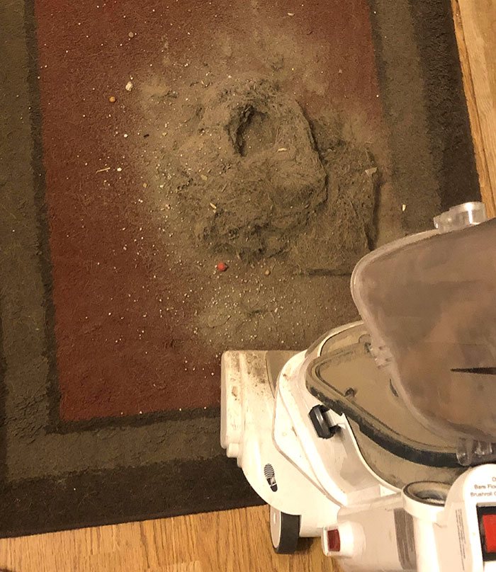 Wanted To Take The Dirt Out Of The Vacuum