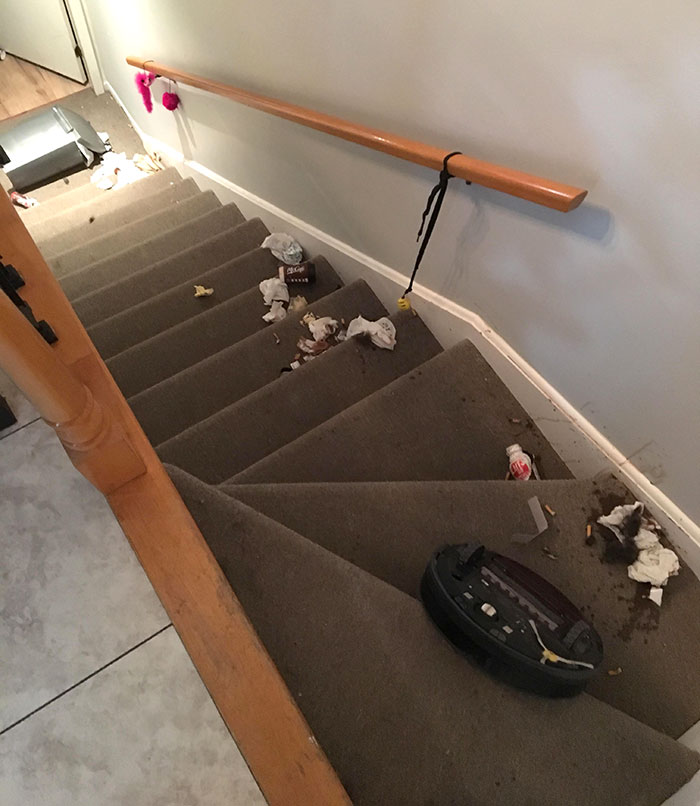 Roomba Screwed Up