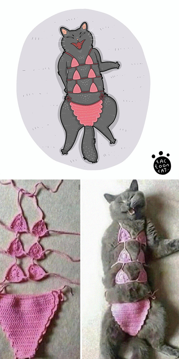 96 Of The Funniest Internet-Famous Cat Pics Get Illustrated By Tactooncat