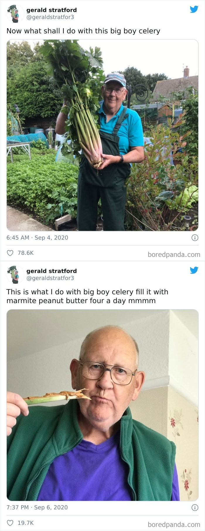 Gardener-Posts-Veggie-Photos-Gerald-Stratford