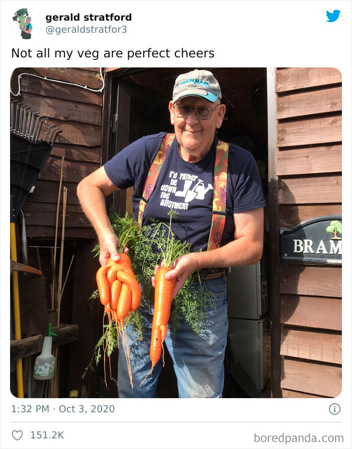 Gardener-Posts-Veggie-Photos-Gerald-Stratford