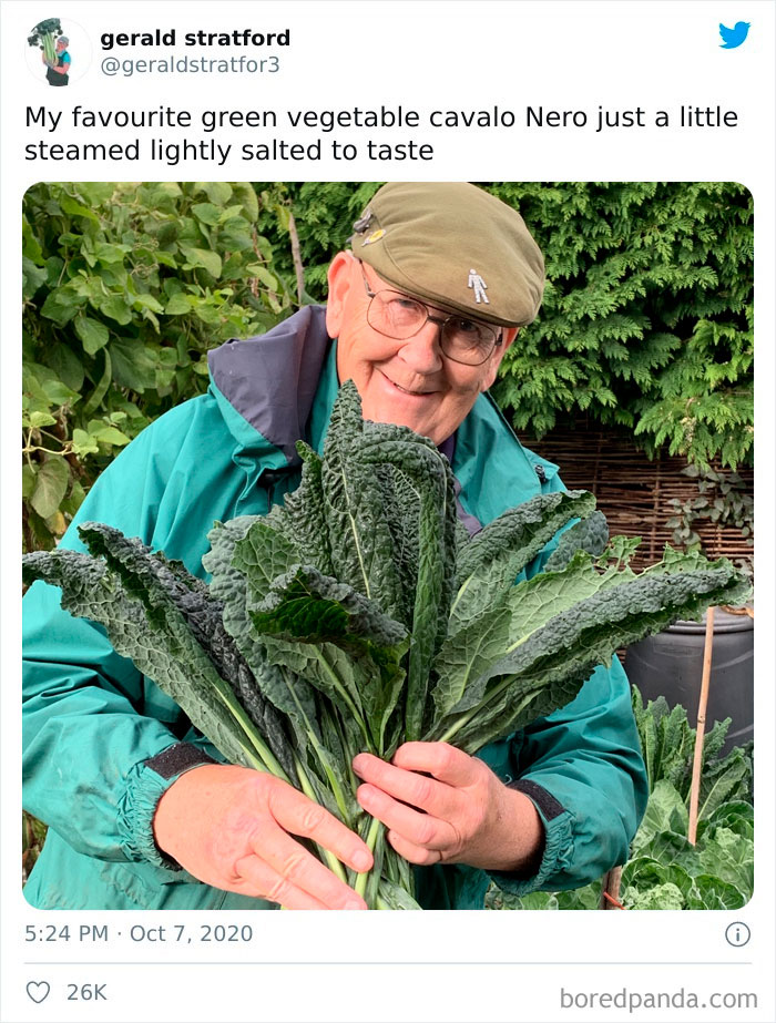 Gardener-Posts-Veggie-Photos-Gerald-Stratford