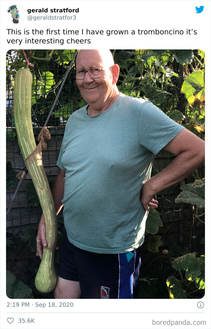 Gardener-Posts-Veggie-Photos-Gerald-Stratford