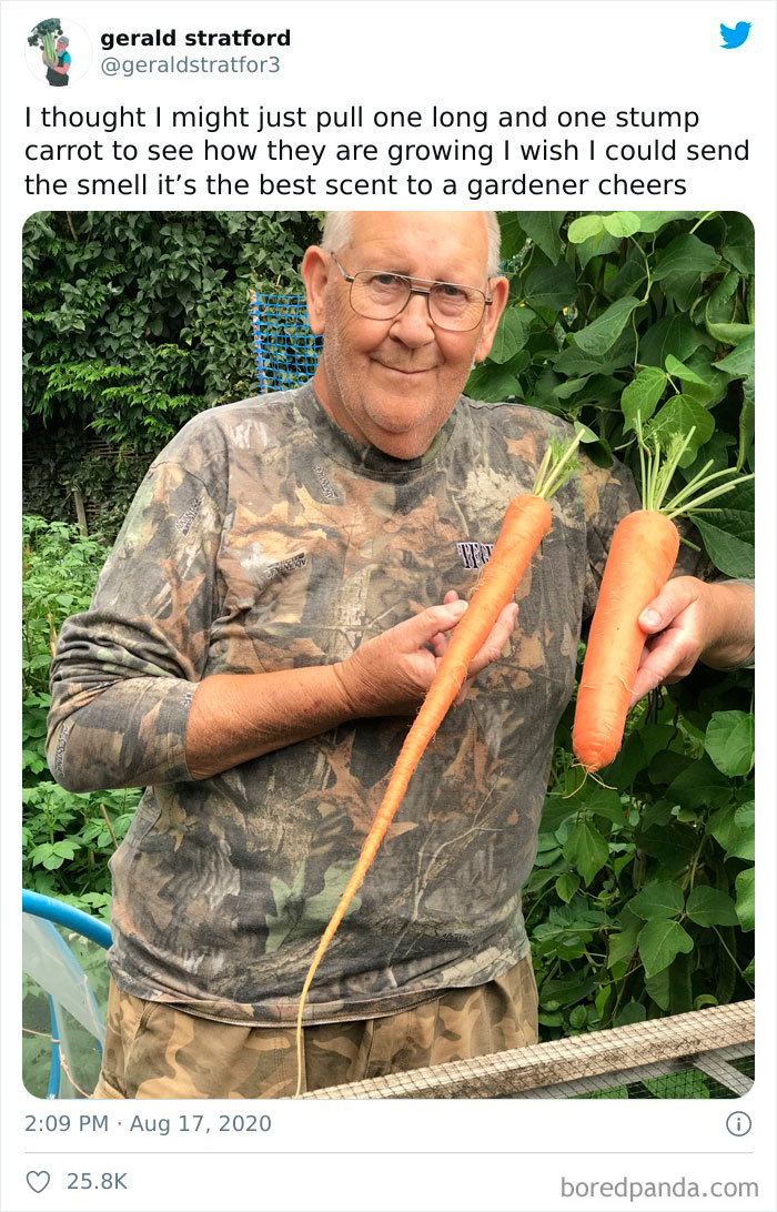 Gardener-Posts-Veggie-Photos-Gerald-Stratford