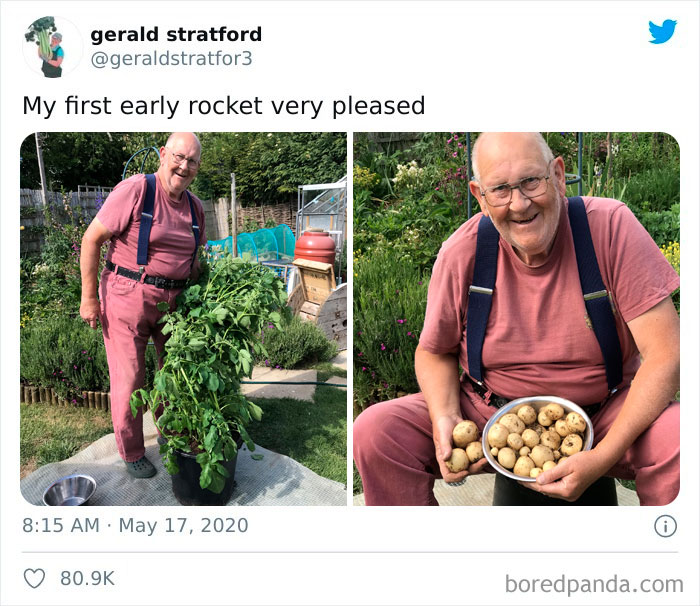 Gardener-Posts-Veggie-Photos-Gerald-Stratford