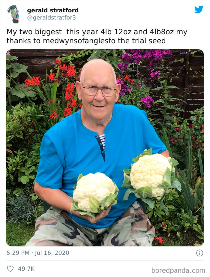 Gardener-Posts-Veggie-Photos-Gerald-Stratford