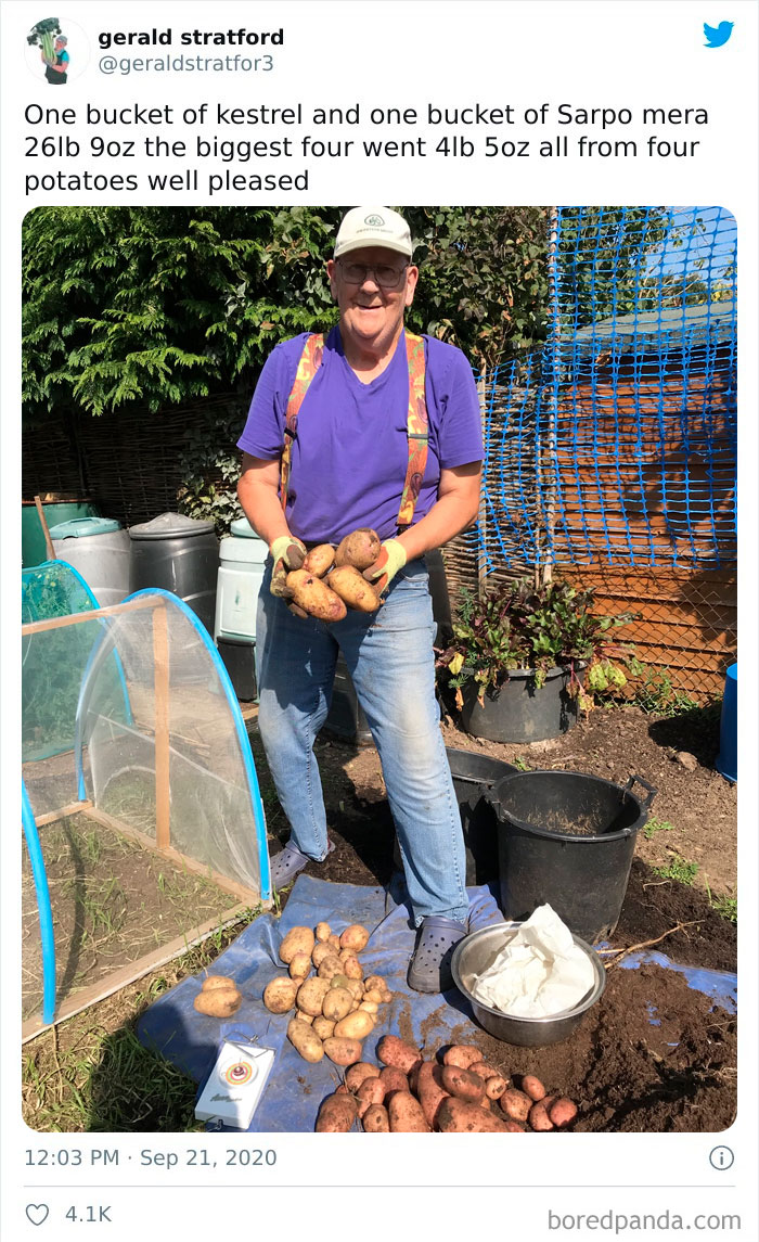 Gardener-Posts-Veggie-Photos-Gerald-Stratford