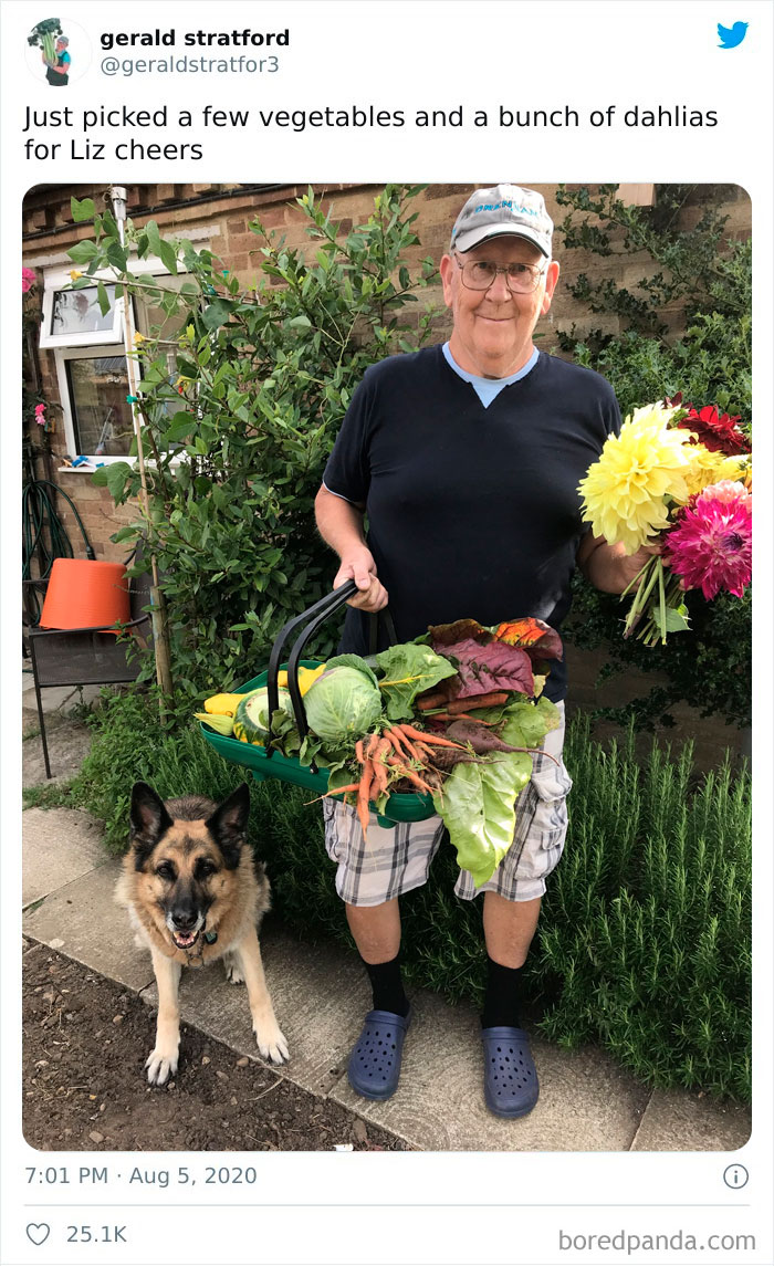 Gardener-Posts-Veggie-Photos-Gerald-Stratford