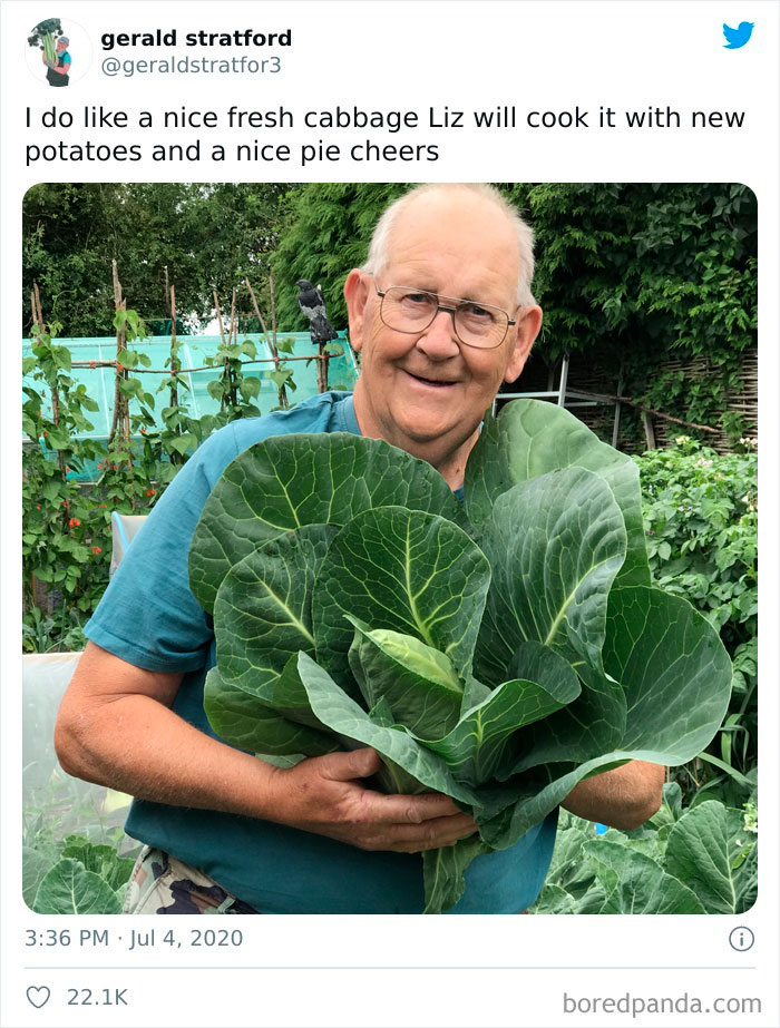 Gardener-Posts-Veggie-Photos-Gerald-Stratford