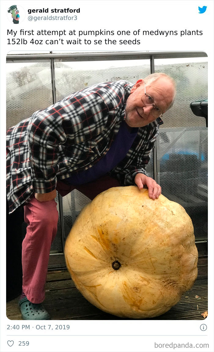 Gardener-Posts-Veggie-Photos-Gerald-Stratford