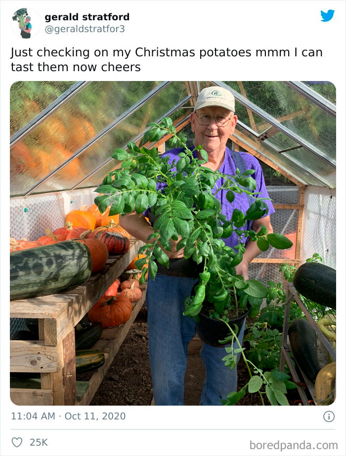 Gardener-Posts-Veggie-Photos-Gerald-Stratford