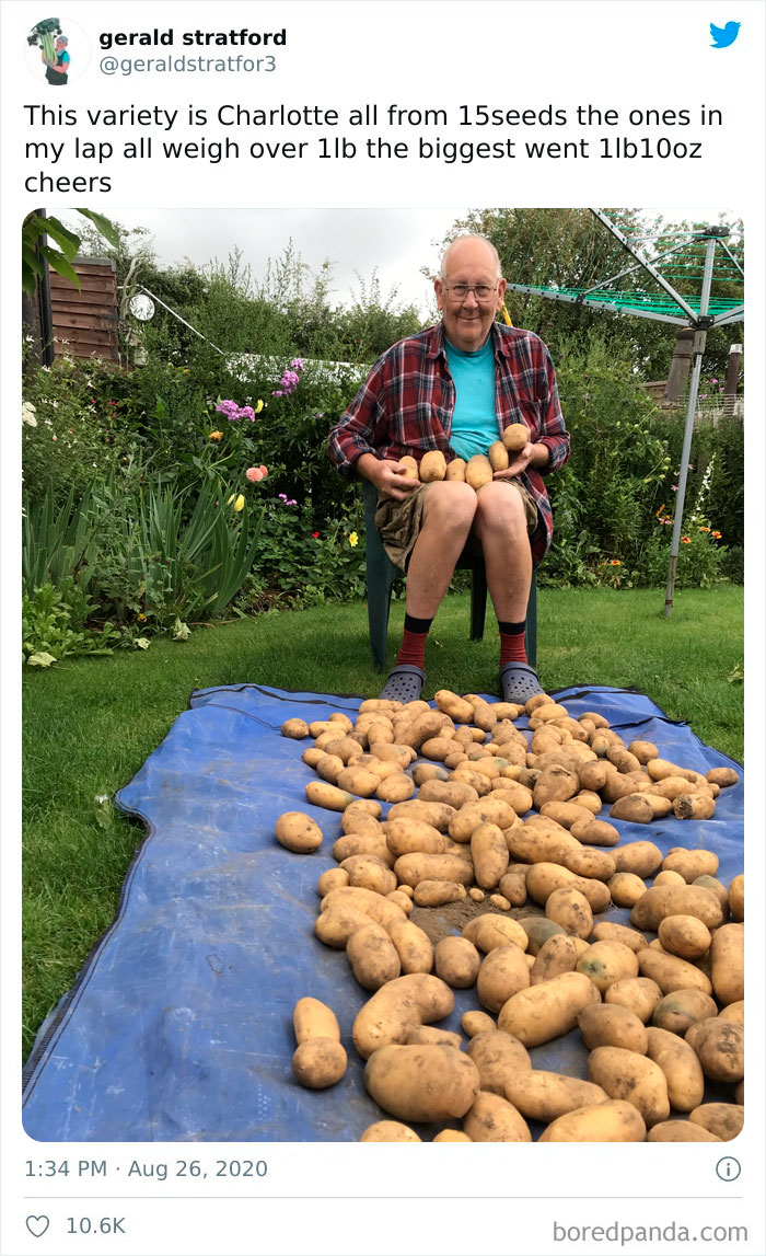 Gardener-Posts-Veggie-Photos-Gerald-Stratford