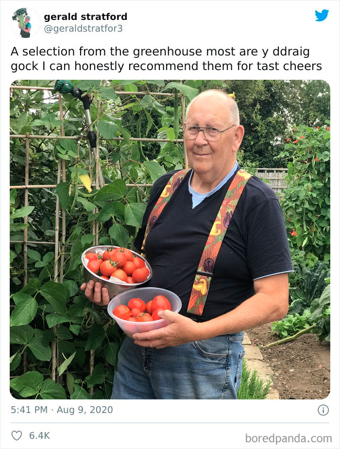 Gardener-Posts-Veggie-Photos-Gerald-Stratford