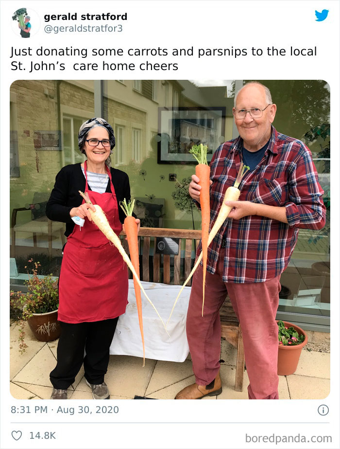 Gardener-Posts-Veggie-Photos-Gerald-Stratford