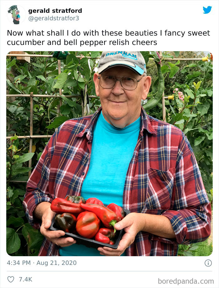 Gardener-Posts-Veggie-Photos-Gerald-Stratford