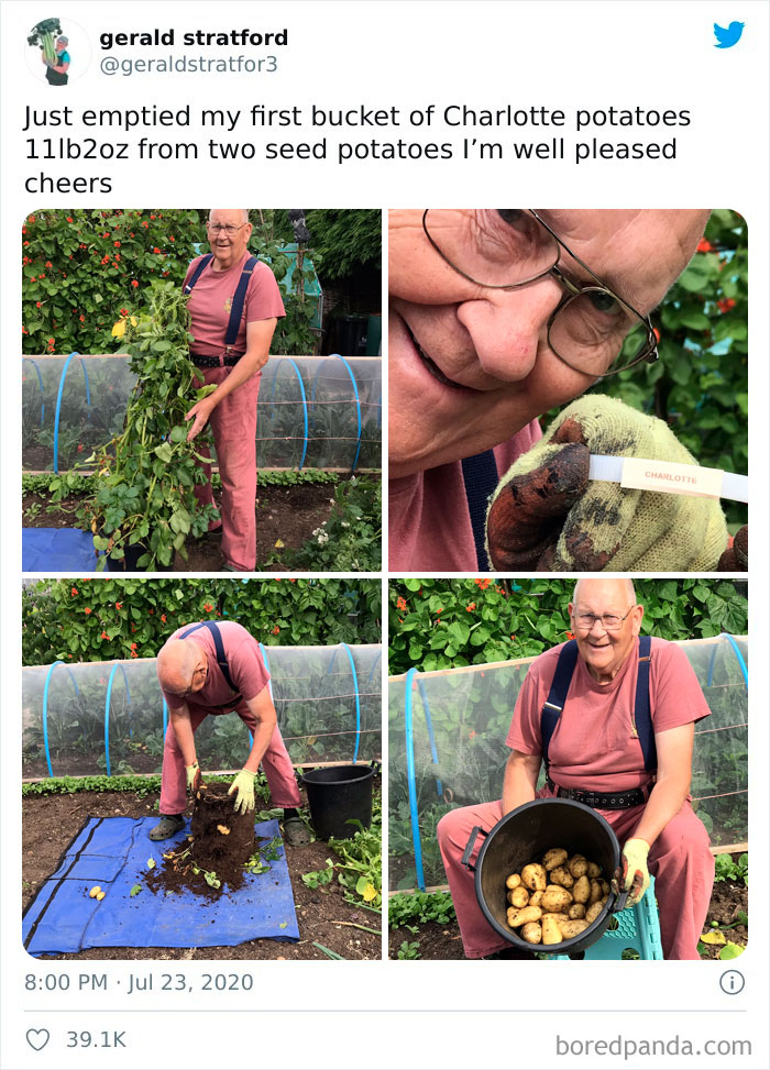 Gardener-Posts-Veggie-Photos-Gerald-Stratford