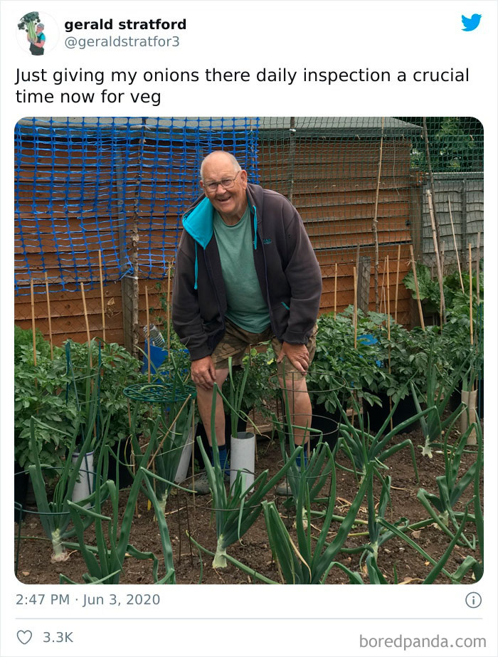 Gardener-Posts-Veggie-Photos-Gerald-Stratford