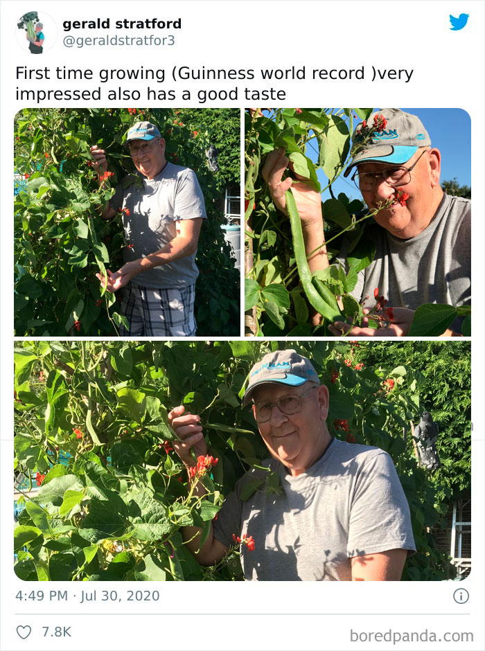 Gardener-Posts-Veggie-Photos-Gerald-Stratford