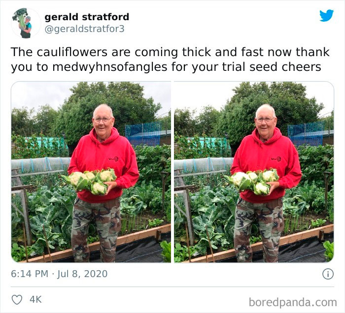 Gardener-Posts-Veggie-Photos-Gerald-Stratford