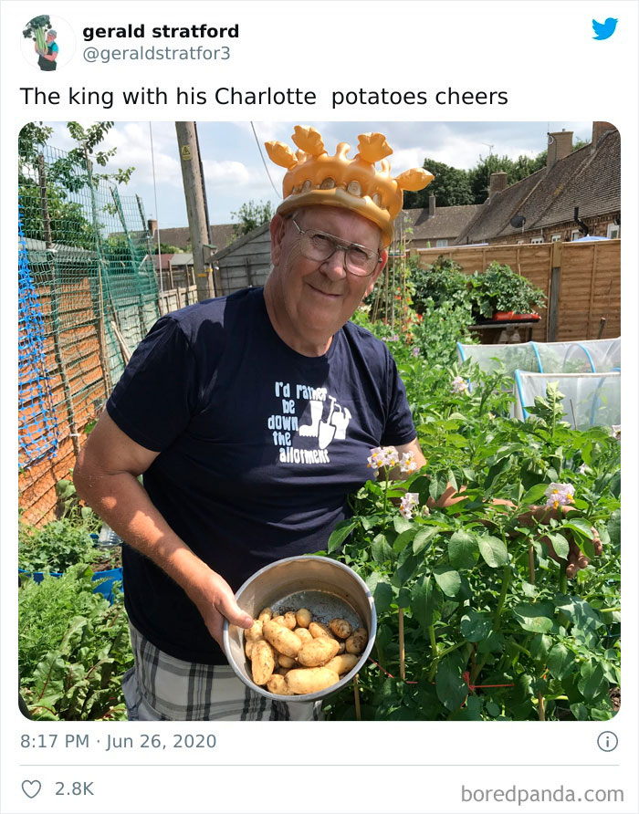 Gardener-Posts-Veggie-Photos-Gerald-Stratford