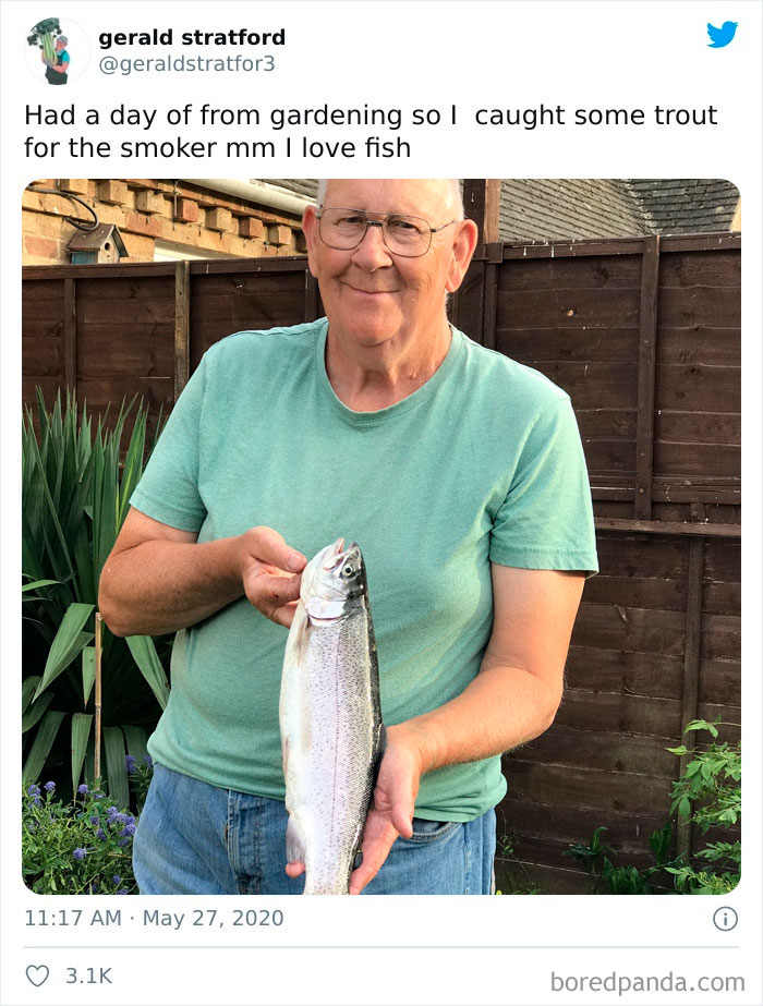 Gardener-Posts-Veggie-Photos-Gerald-Stratford