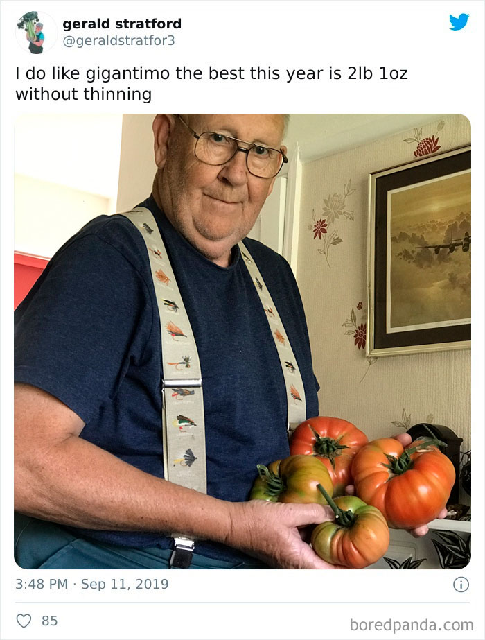 Gardener-Posts-Veggie-Photos-Gerald-Stratford