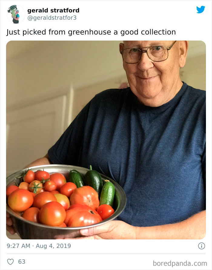 Gardener-Posts-Veggie-Photos-Gerald-Stratford