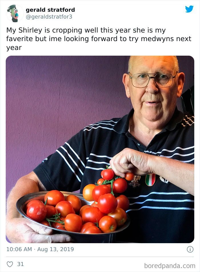 Gardener-Posts-Veggie-Photos-Gerald-Stratford