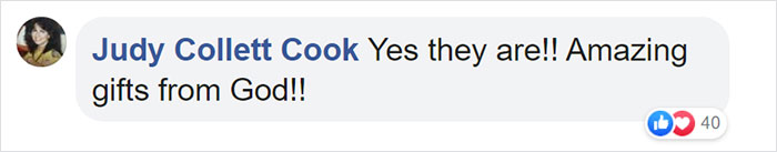 This First-Time Golden Retriever Mother Was Captured Trying To Console Her Newborn Puppies With Her Favorite Toys