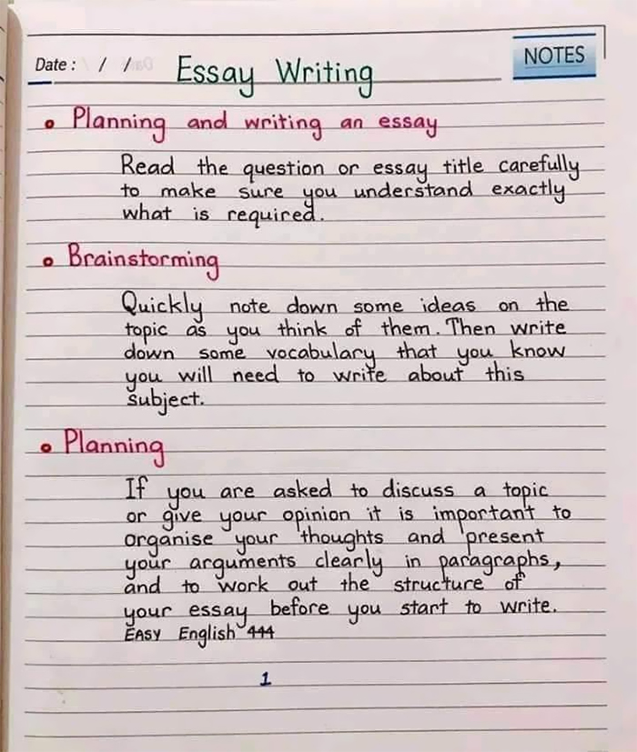Essay writing