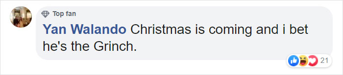 A Puppy With Green Fur Was Born In Italy And The Owners Named Him Pistachio