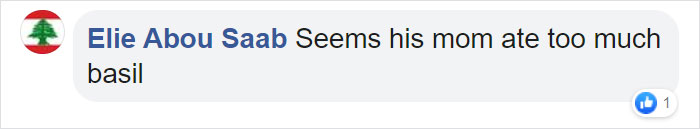 A Puppy With Green Fur Was Born In Italy And The Owners Named Him Pistachio