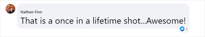 Photographer Captures A Once In A Lifetime Moment Of A Grizzly And Wolf Encounter Photographer Captures A Once In A Lifetime Moment Of A Grizzly And Wolf Encounter