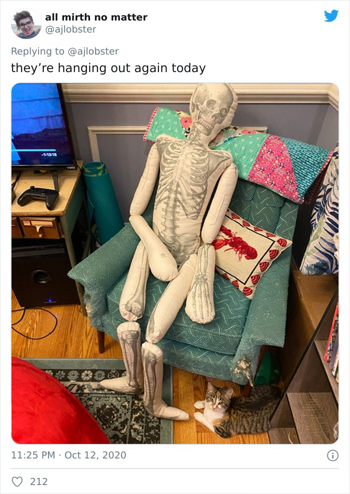 Woman Finds Out And Posts Pictures Of How Cats Would React If You Suddenly Died At Home Woman Finds Out And Posts Pictures Of How Cats Would React If You Suddenly Died At Home