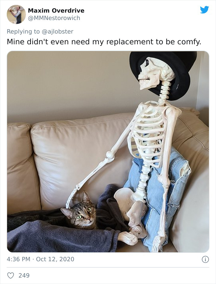 Woman Finds Out And Posts Pictures Of How Cats Would React If You Suddenly Died At Home Woman Finds Out And Posts Pictures Of How Cats Would React If You Suddenly Died At Home