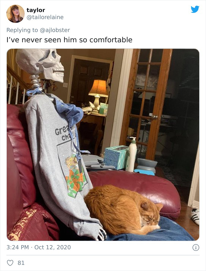 Woman Finds Out And Posts Pictures Of How Cats Would React If You Suddenly Died At Home