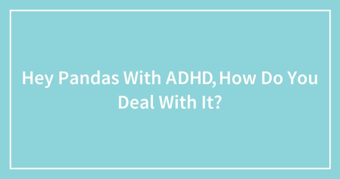 Hey Pandas With ADHD, How Do You Deal With It?