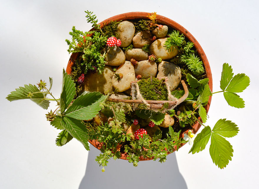 I Started Making Tiny Gardens At Home To Relax From My Everyday Job (28 Pics)