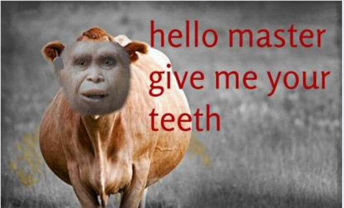 Hello Master, Give Me Your Teeth
