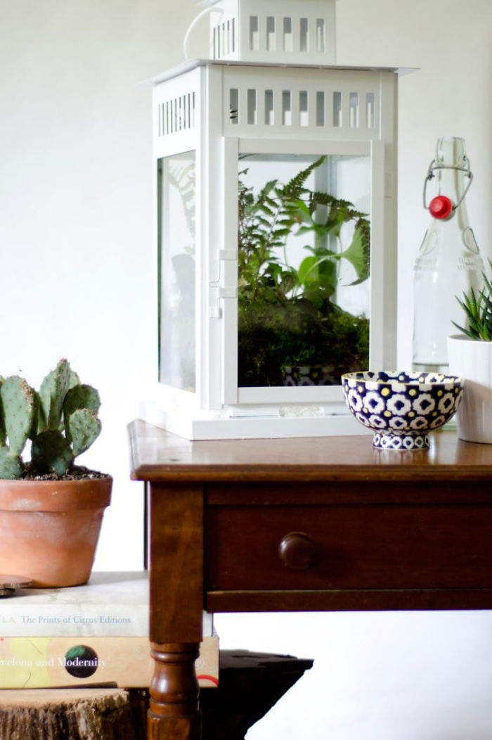 DIY Lantern Terrarium