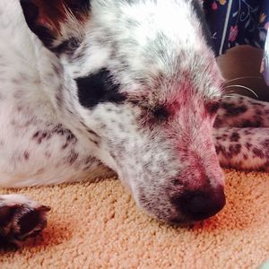 kadymaree1308 avatar