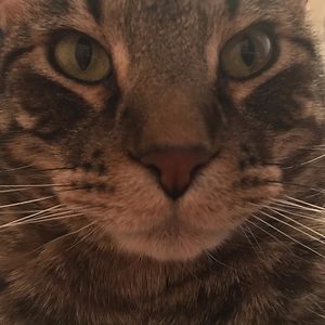 dawn_alexander avatar