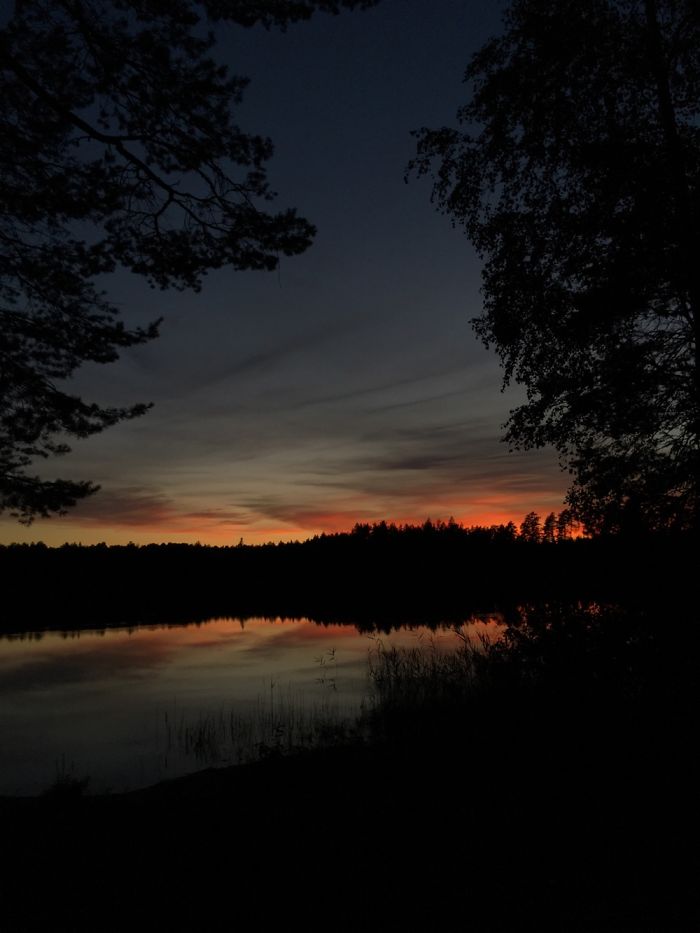 Lithuania, Labanoras Forest