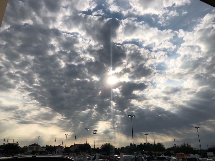 Phoenix Or Dragon? Can You See It?