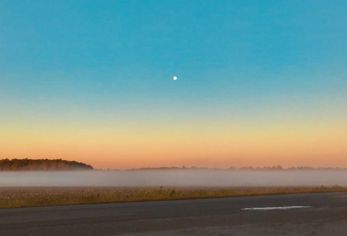 This Is From My Bus Stop (There Are Barely Any Edits)