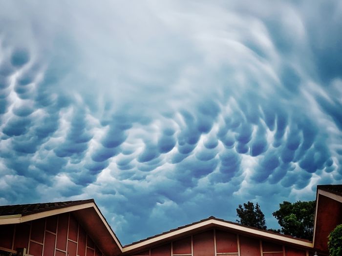 Just Before A Burst Of Rain. Sydney, Australia